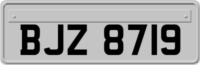 BJZ8719