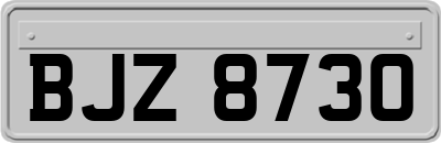 BJZ8730