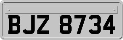 BJZ8734