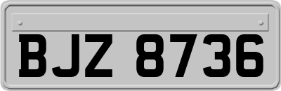 BJZ8736