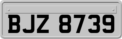 BJZ8739