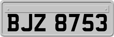 BJZ8753