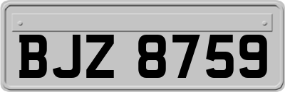 BJZ8759