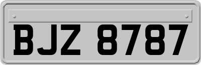 BJZ8787