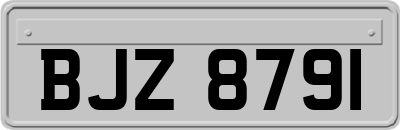 BJZ8791