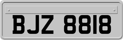 BJZ8818
