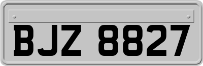 BJZ8827