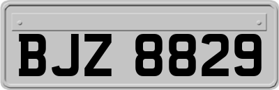 BJZ8829