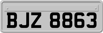 BJZ8863