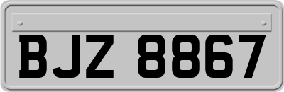 BJZ8867