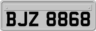 BJZ8868