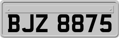 BJZ8875