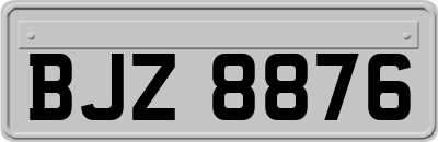 BJZ8876