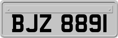 BJZ8891