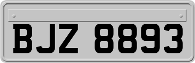 BJZ8893