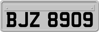 BJZ8909