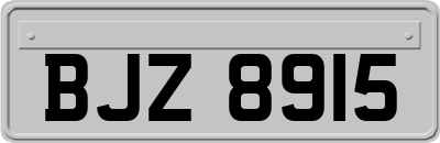 BJZ8915