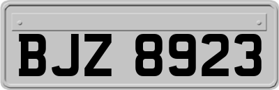 BJZ8923