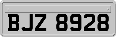 BJZ8928