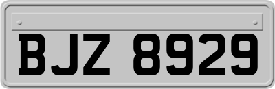 BJZ8929