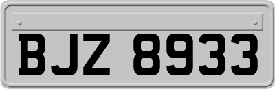 BJZ8933