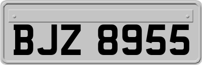 BJZ8955