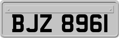 BJZ8961