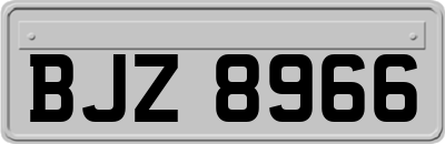 BJZ8966