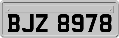BJZ8978