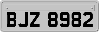 BJZ8982