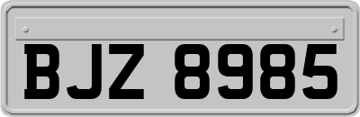 BJZ8985