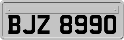 BJZ8990