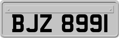 BJZ8991