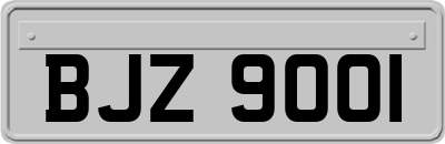BJZ9001
