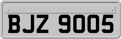 BJZ9005