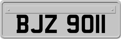 BJZ9011