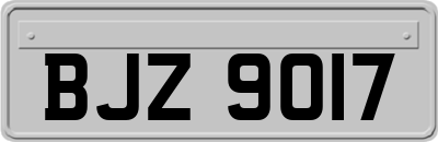 BJZ9017