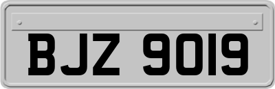BJZ9019