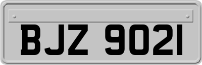 BJZ9021