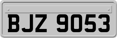 BJZ9053