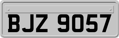 BJZ9057