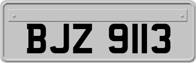 BJZ9113