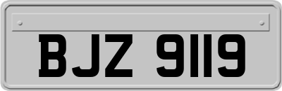 BJZ9119