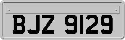 BJZ9129