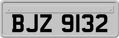 BJZ9132
