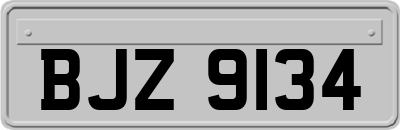 BJZ9134