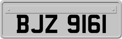 BJZ9161
