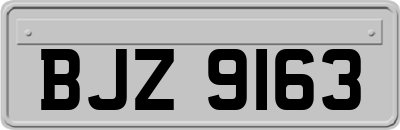 BJZ9163