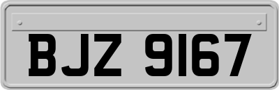 BJZ9167