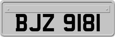 BJZ9181
